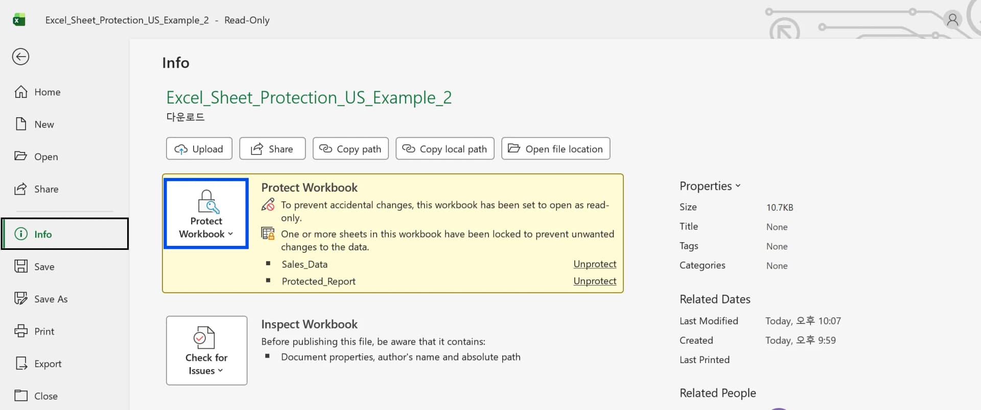 Excel File Info page showing Protect Workbook status with Unprotect links for each sheet